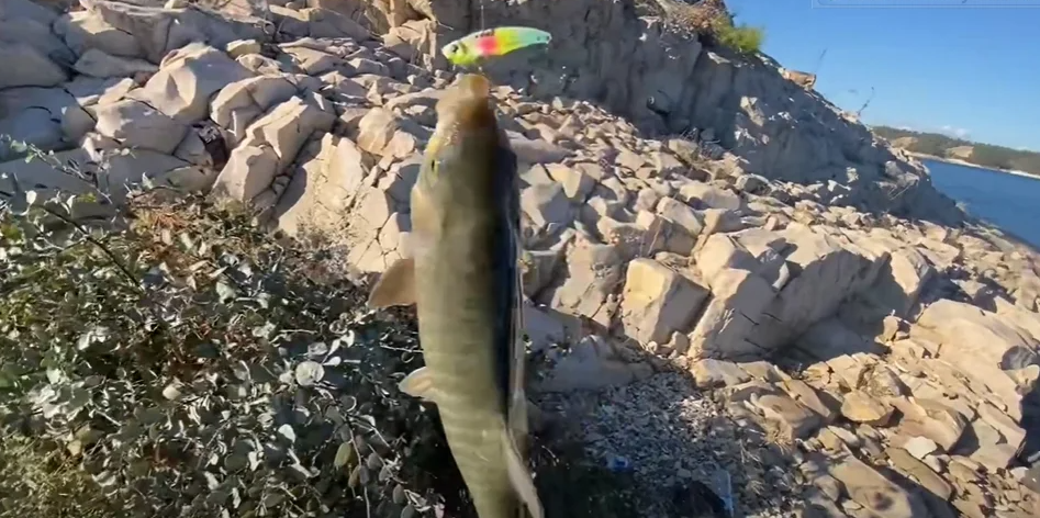 Atatürk barajında balık avı (Deeppike Fishing ) ı Sizden Gelenler